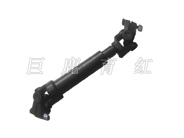 TR100 Short axis  15312261 TR100 Short axis  15312261